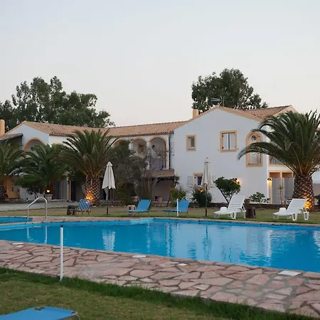 Corfu Sea Palm * Roda (Corfu)