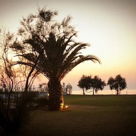 Corfu Sea Palm Apartment *