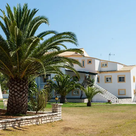 Corfu Sea Palm * Roda (Corfu)