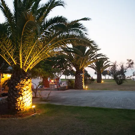 Corfu Sea Palm Roda (Corfu)