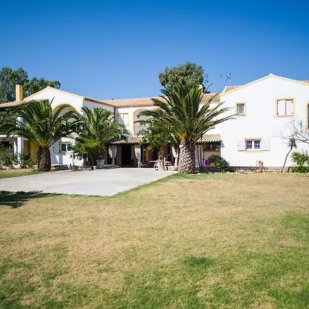 Apartment Corfu Sea Palm Roda (Corfu)